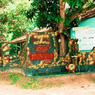 විද්‍යාලීය සුන්දරත්වය