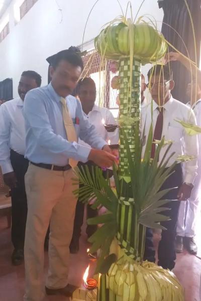 01edd23f 86cb 4a72 Be8e 77245443846d